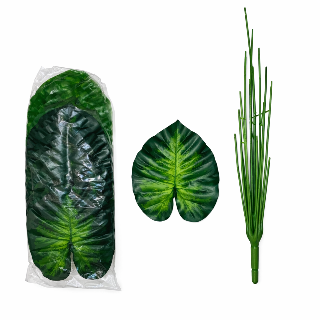 18-Leaf Money Plant with Stem