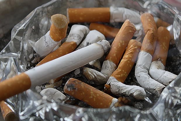 several cigarettes in an ashtray