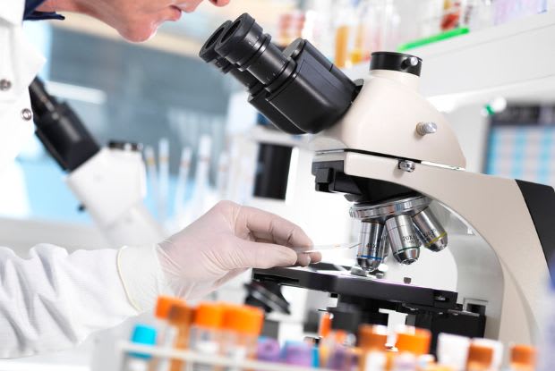 researcher looking through a microscope