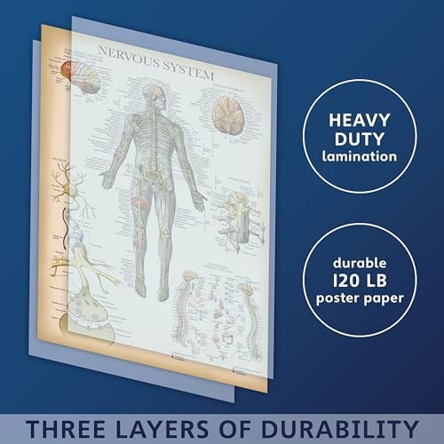 Vue 3 de Palace Learning Lot De