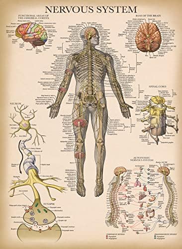Vue 6 de Palace Learning Lot De
