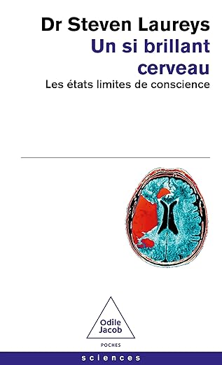 Un Si Brillant Cerveau