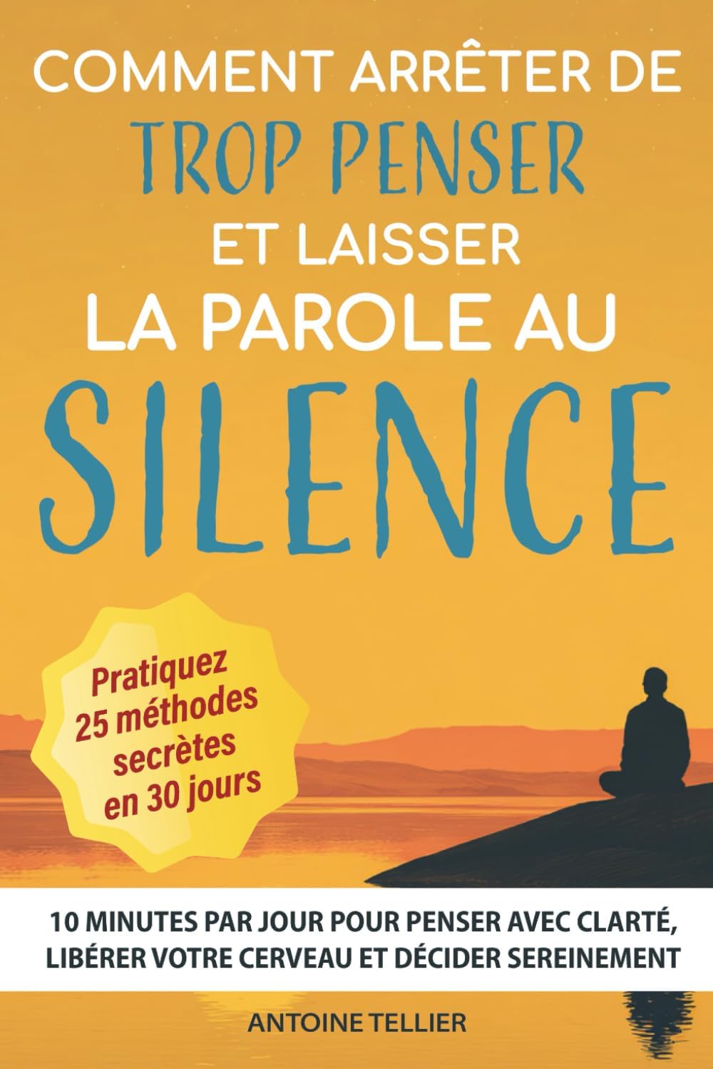 Vue 3 de Un Si Brillant Cerveau