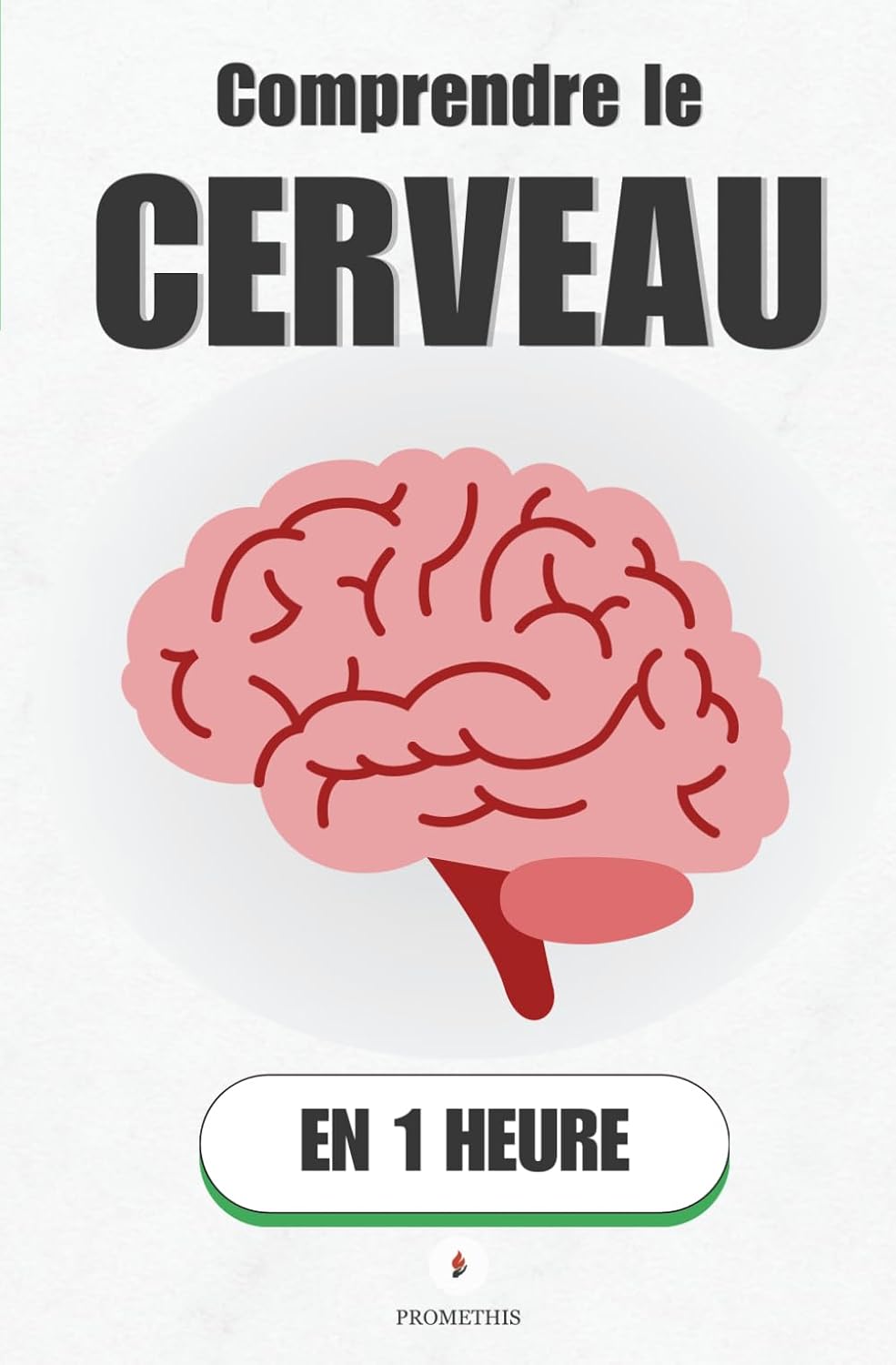 Vue 4 de Cerveau Et Comportement