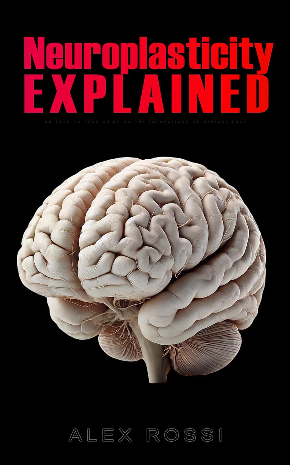 Vue 7 de Affective Neuroscience The Foundations