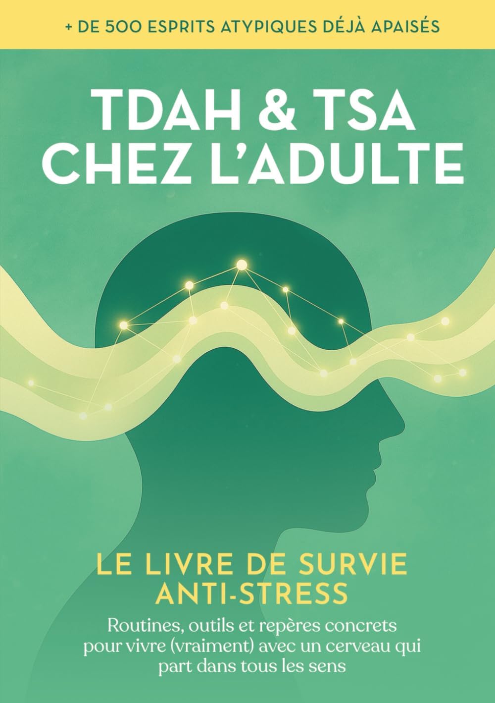 Vue 6 de Le Trouble De Stress