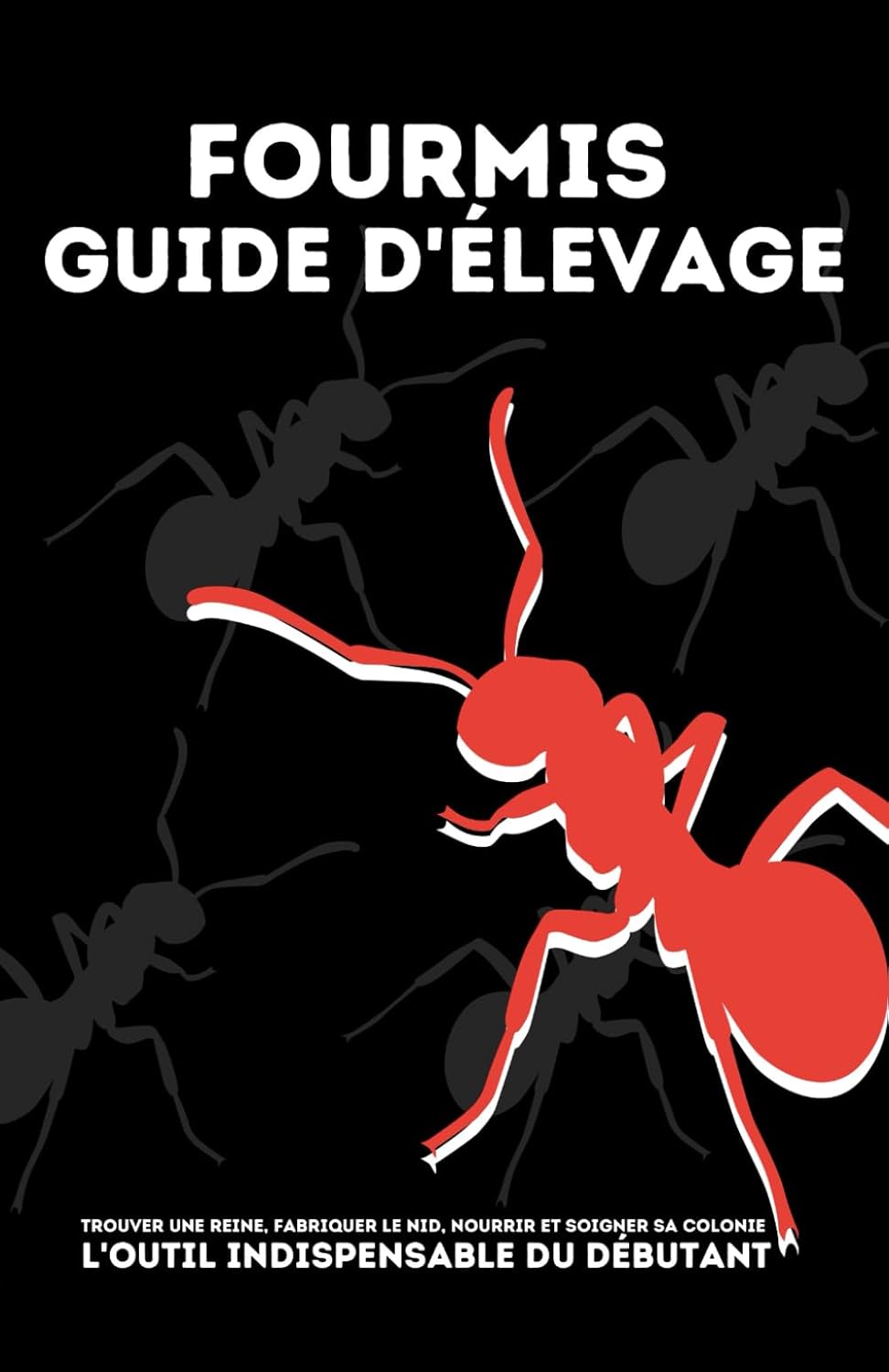 Vue 5 de Des Fourmis Dans Ma