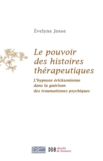 Le Pouvoir Des Histoires