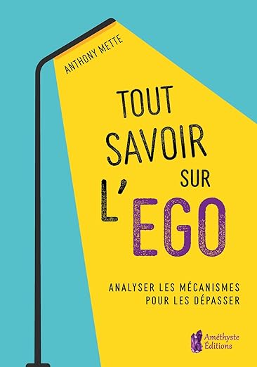 Tout Savoir Sur Lego