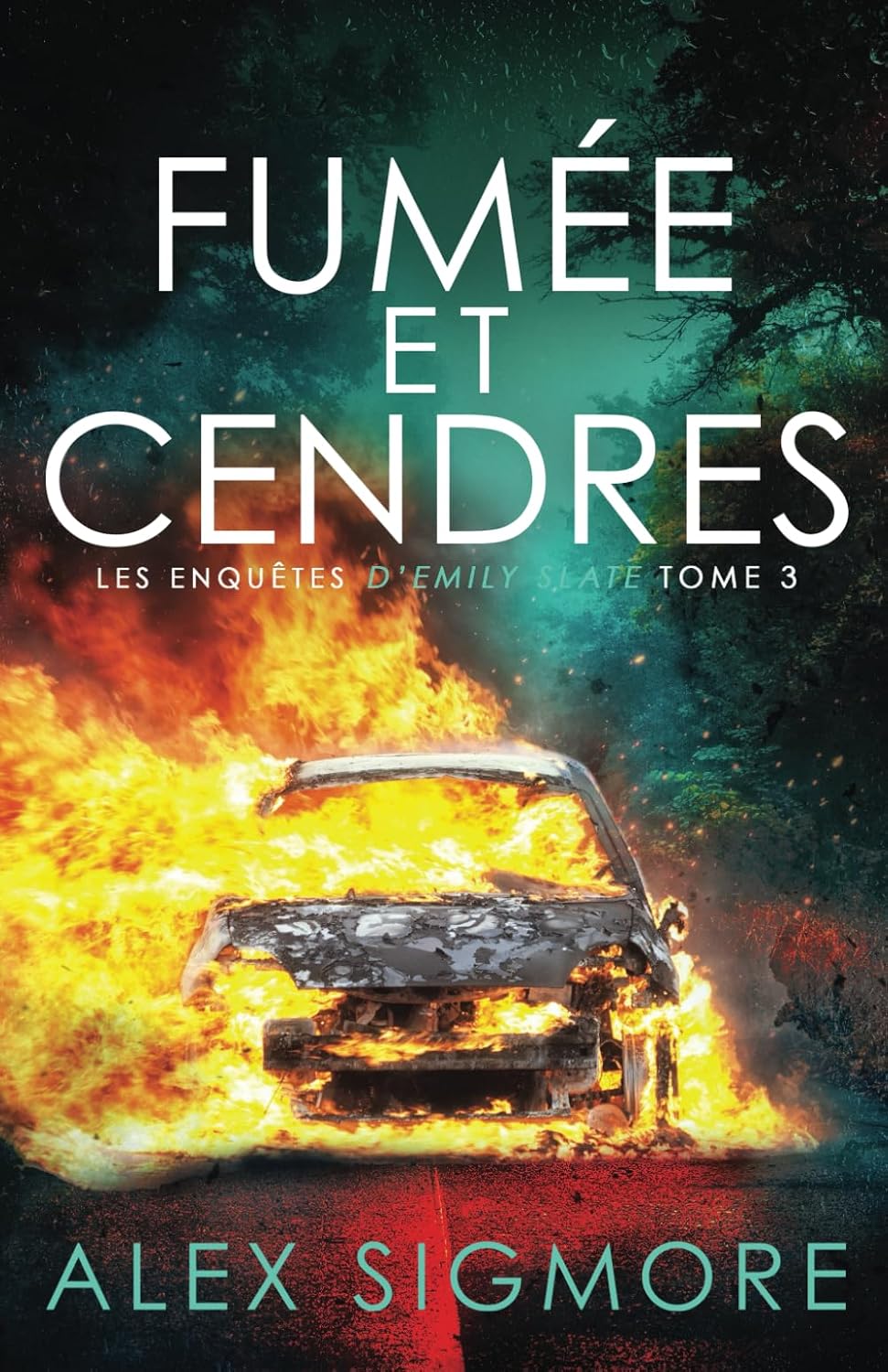 Vue 6 de Adolescence Et Crise La