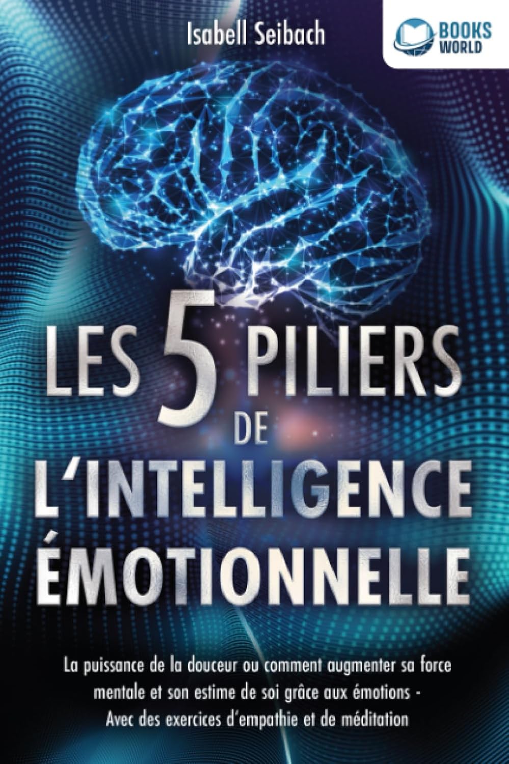 Vue 6 de Lagilite Emotionnelle Accueillir Ses