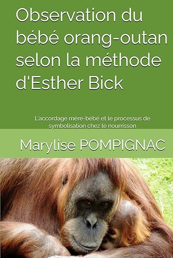 Observation Du Bebe Orangoutan