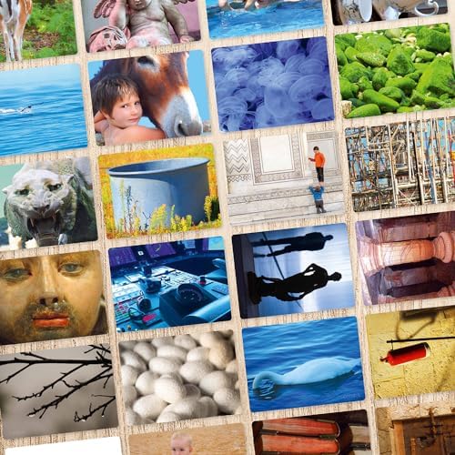 Vue 5 de Comitys Photoexpression Emotions Photographies