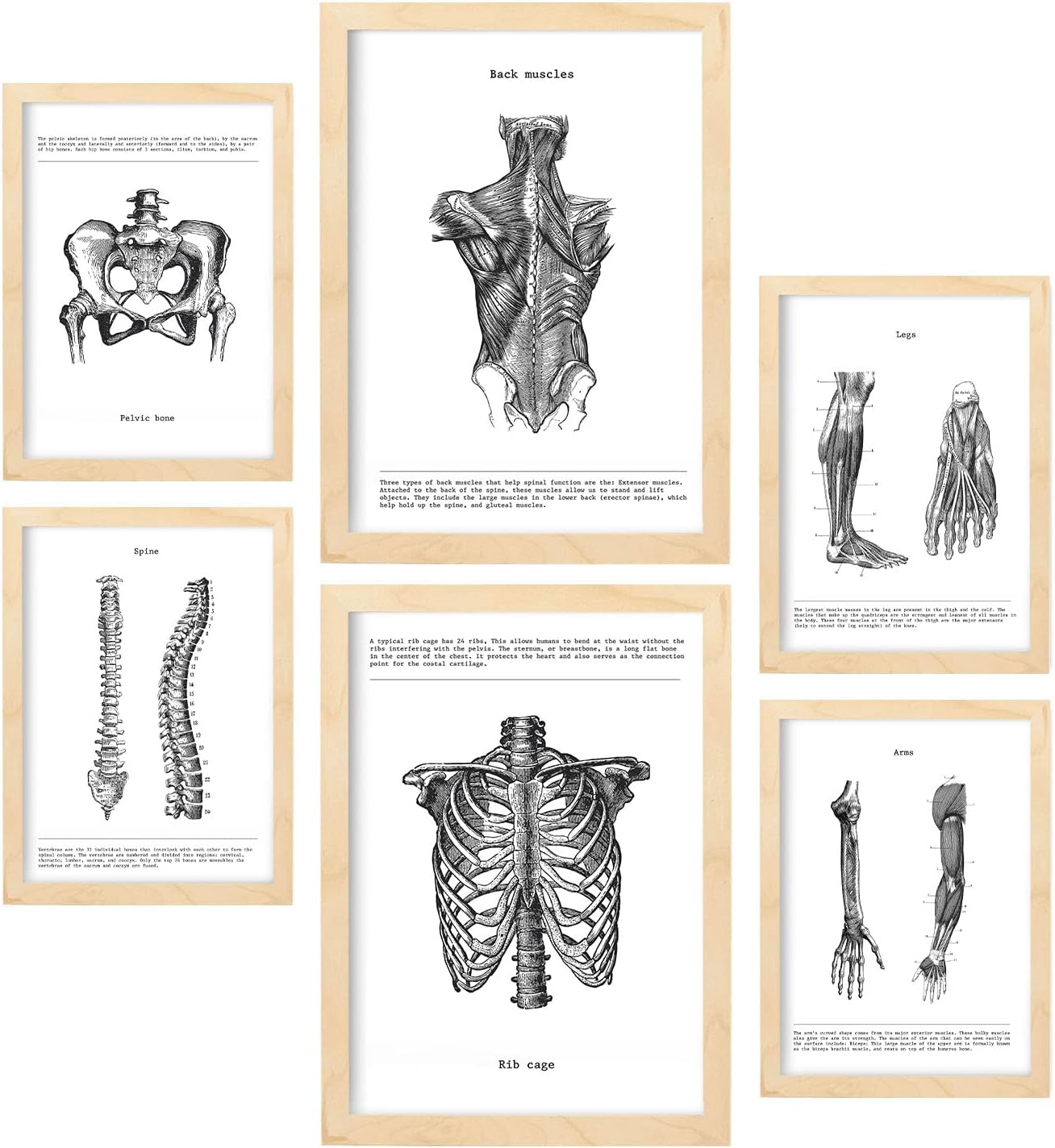 Nacnic Ensemble De Affiches