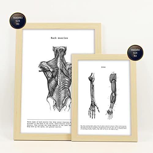 Vue 4 de Nacnic Ensemble De Affiches