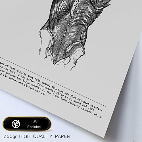 Vue 5 de Nacnic Ensemble De Affiches