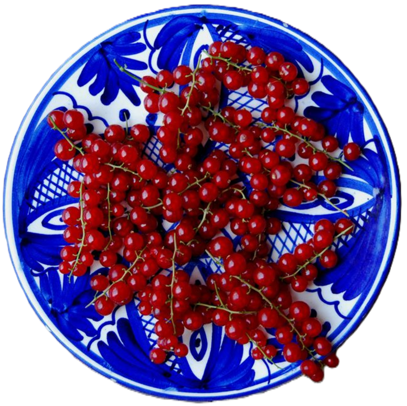 Dondurulmuş Kırmızı Frenk Üzümü Mavi Beyaz Kase | My Golden Food Kalitesi