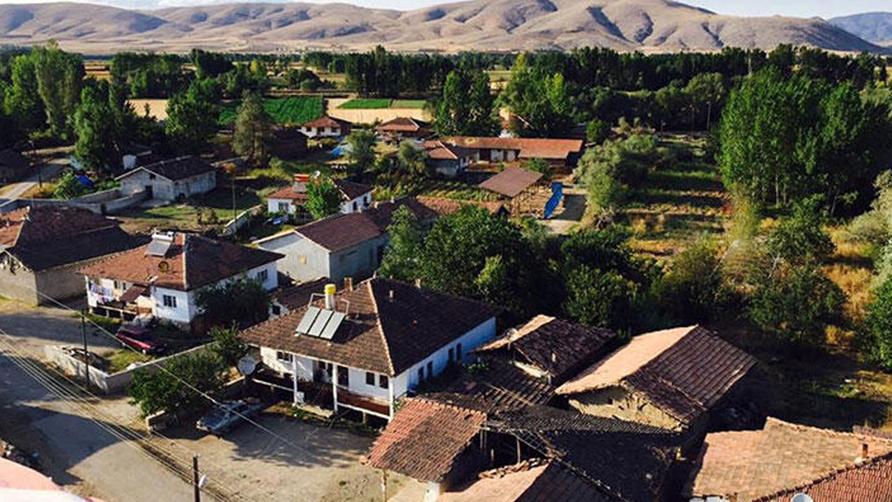 1988 Anadolu Ticaret