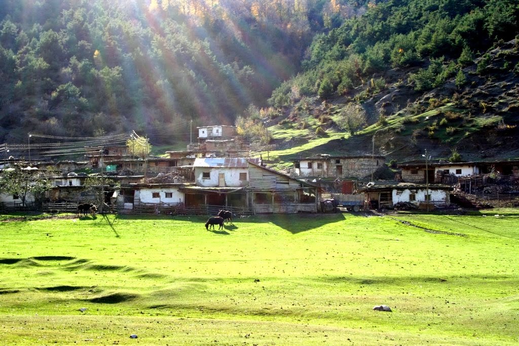 2000'ler Globalleşme