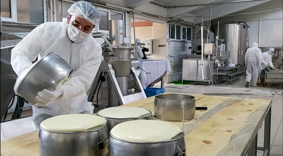 2024 Gelecek Vizyonu