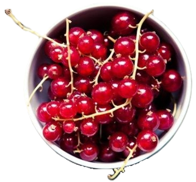 Dondurulmuş Frambuazlı Kahve Frappe Tarifi - Donuk Gıda Tarifi Dondurulmuş Frambuazlı Kahve Frappe Tarifi | Donuk Gıda Tarifi | Dondurulmuş Gıda ile Hazırlanan Tarif