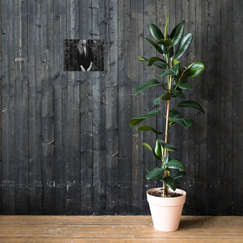 Noir Elegance, lifestyle 2 mockup