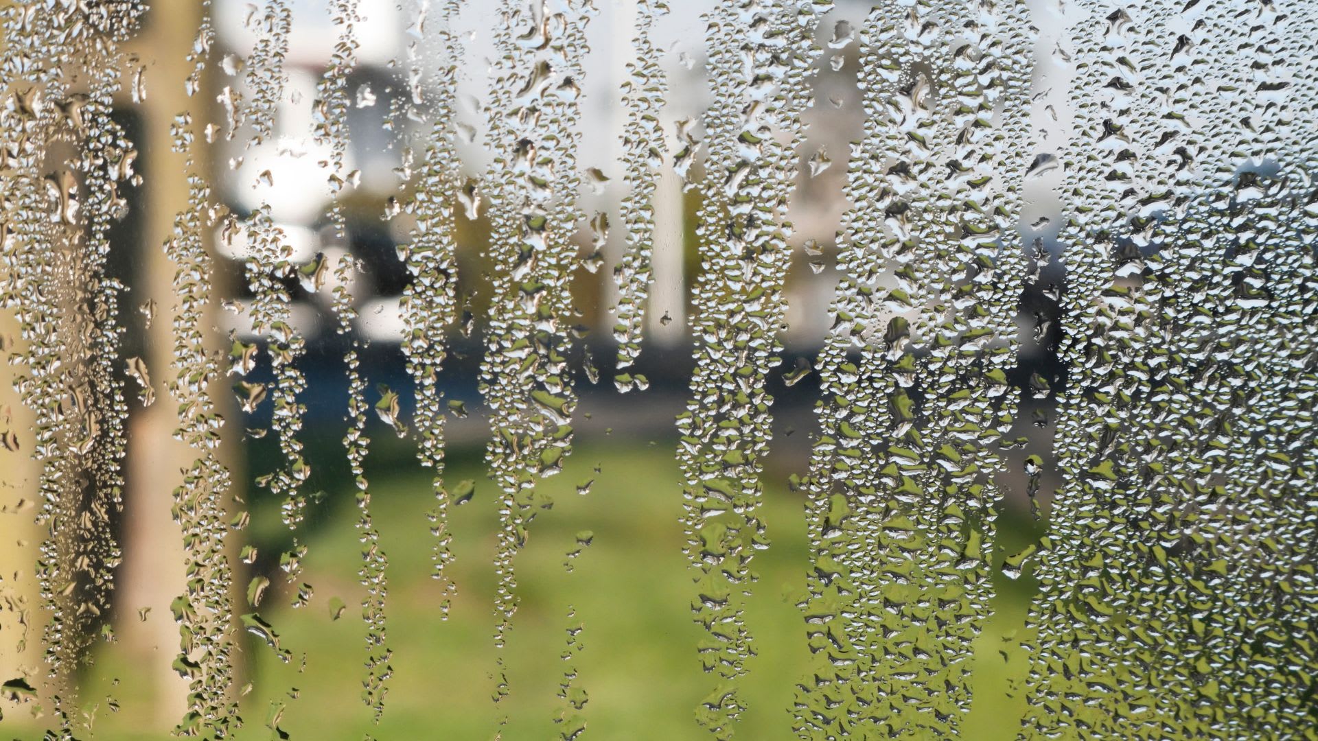 Condensation on Windows: 7 Tips to Prevent Condensation