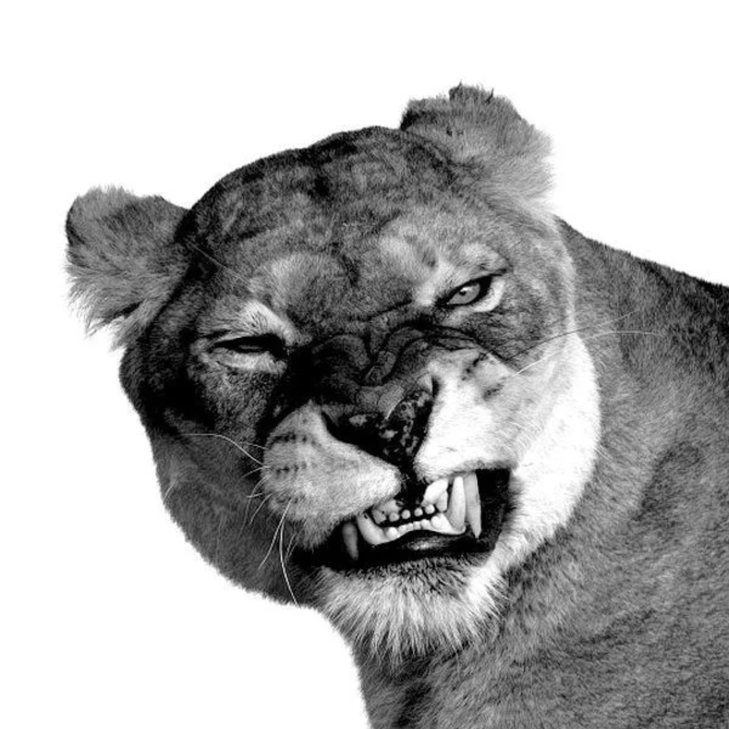 Profile image of 