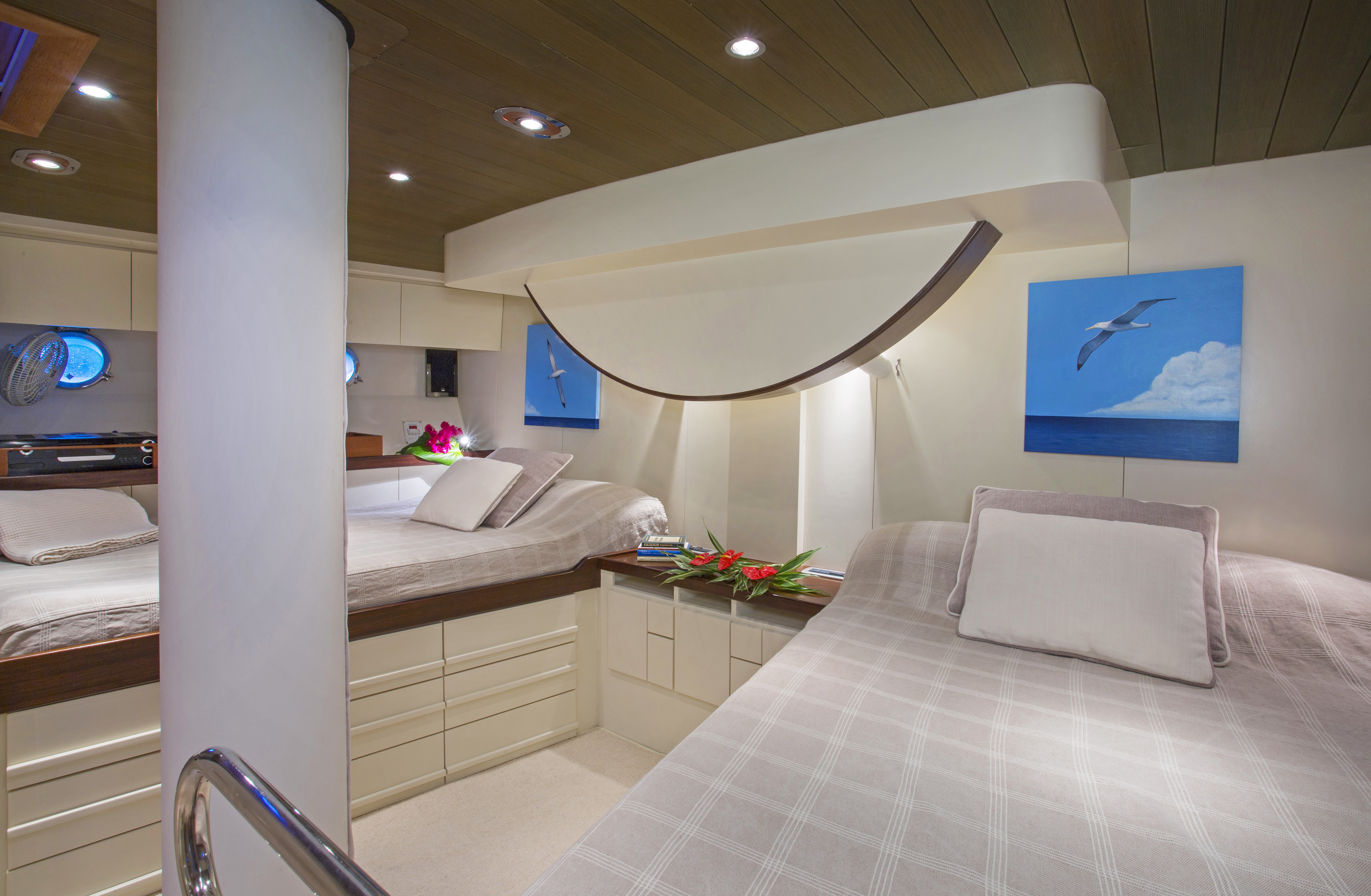 Green cardstock box open with 50 cards inside.