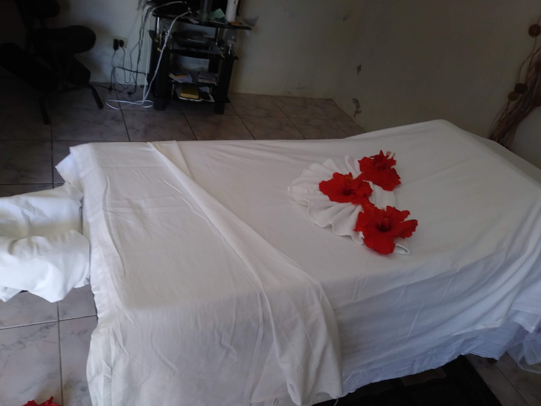 Tonishae's Mobile Day Spa