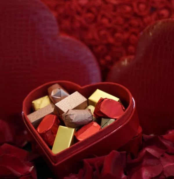 The Heart