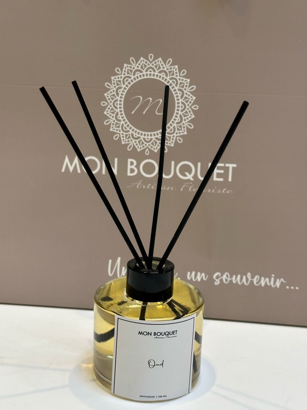 Diffuseur Oud