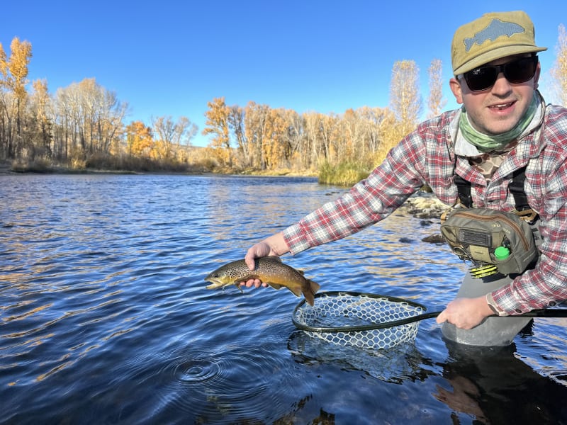 A nice brown from the morning