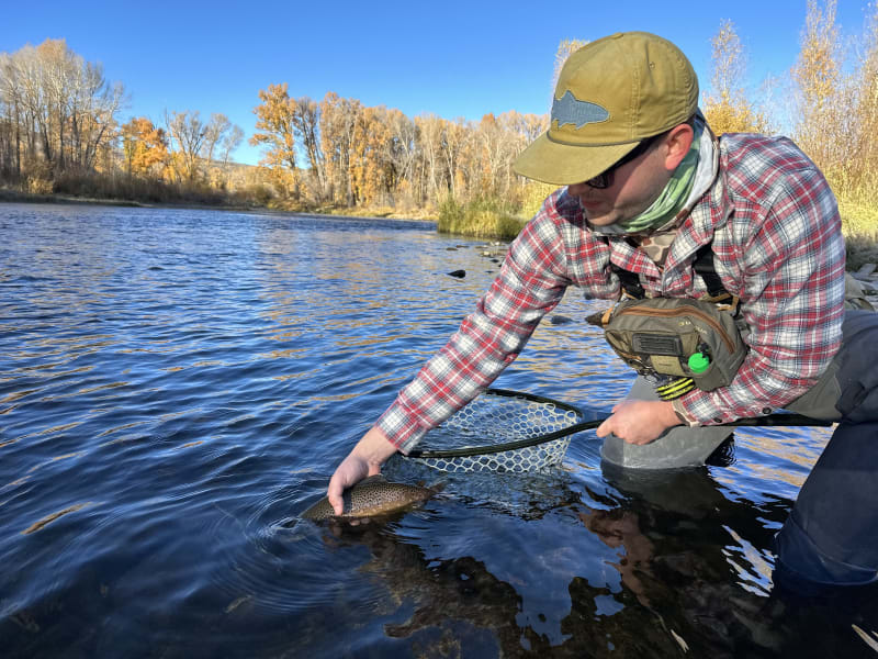 And the release