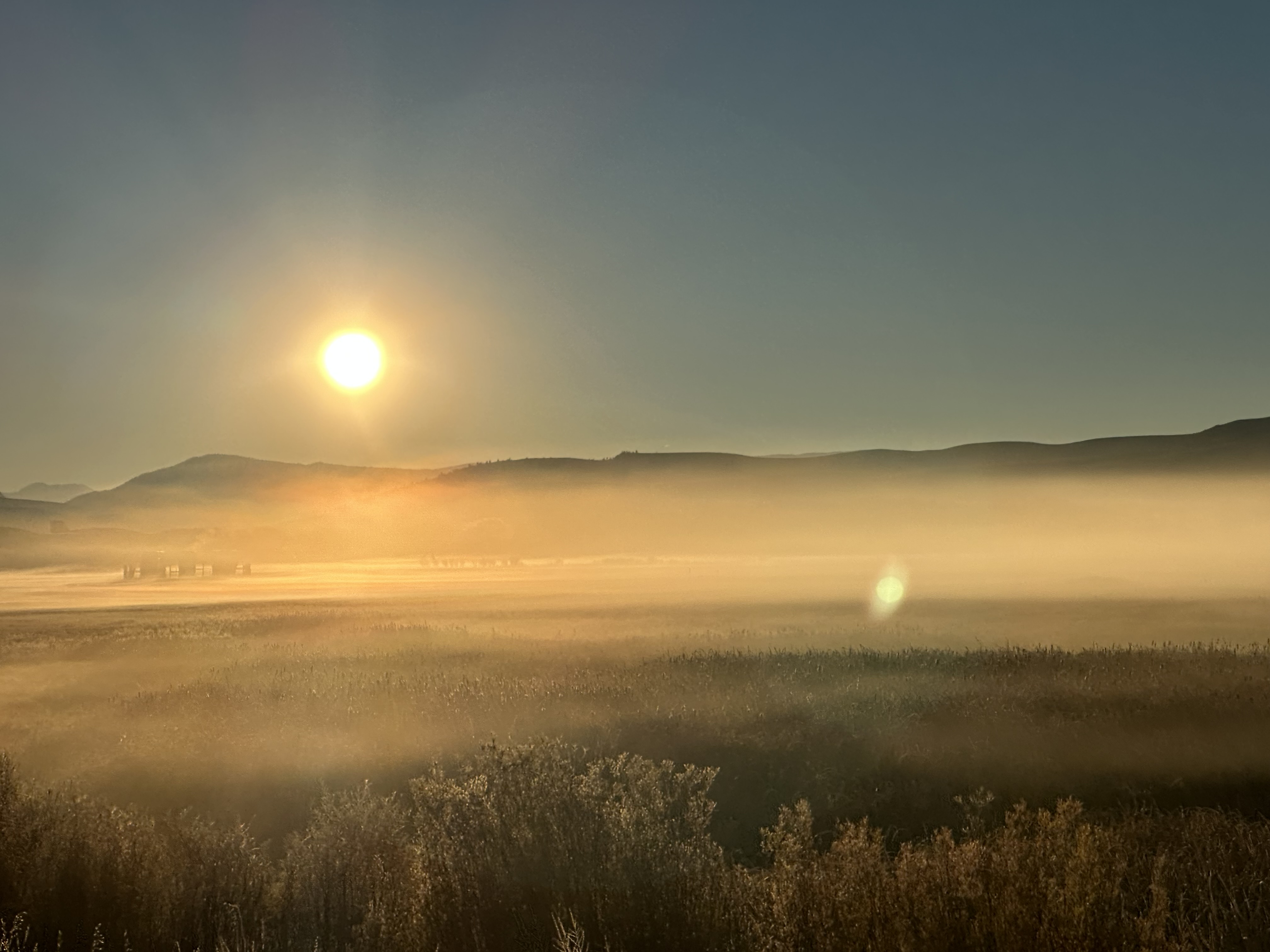 Fog over the pastures