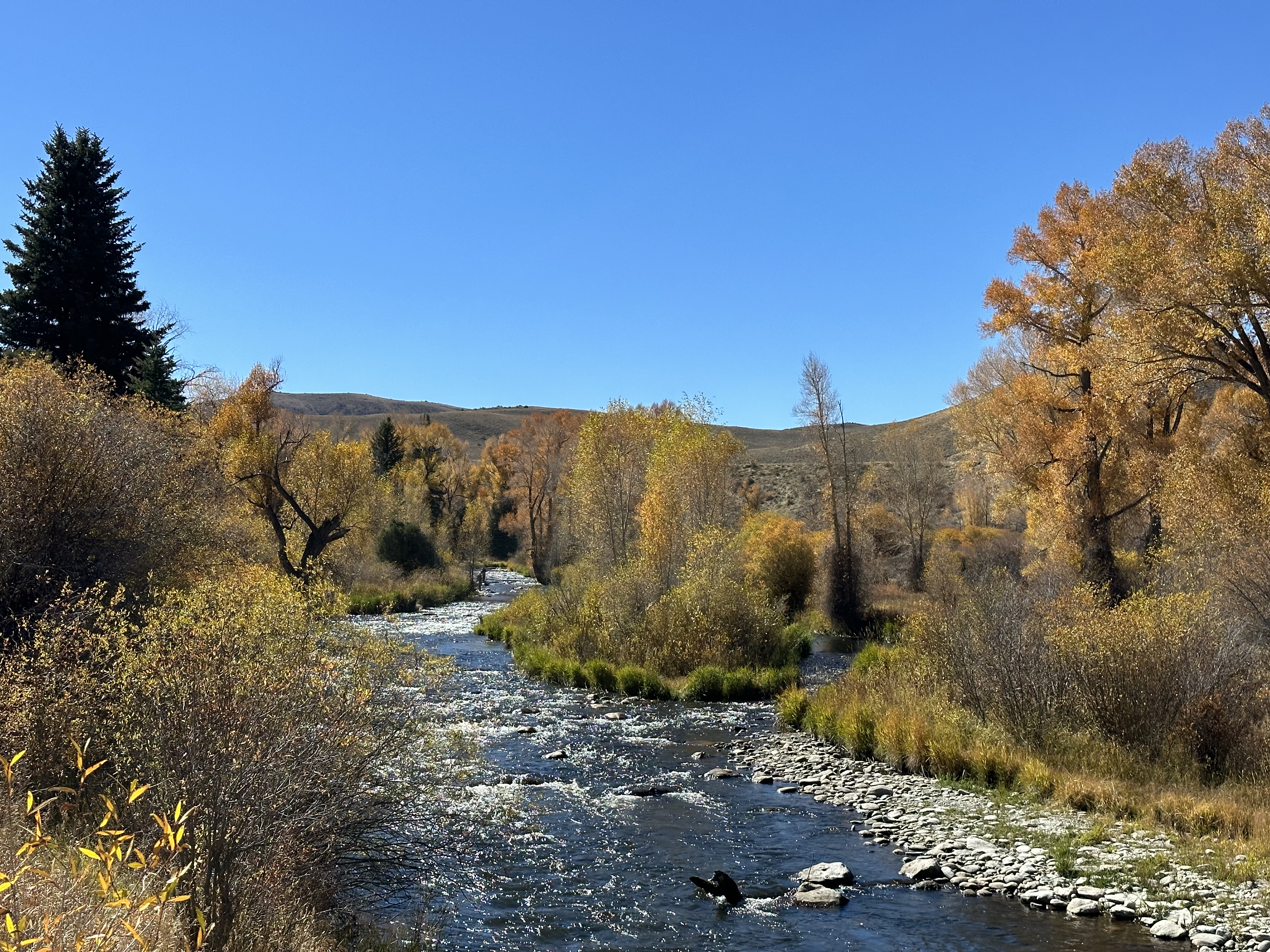 Even when the fishing is slow, the Williams Fork offers outstanding views
