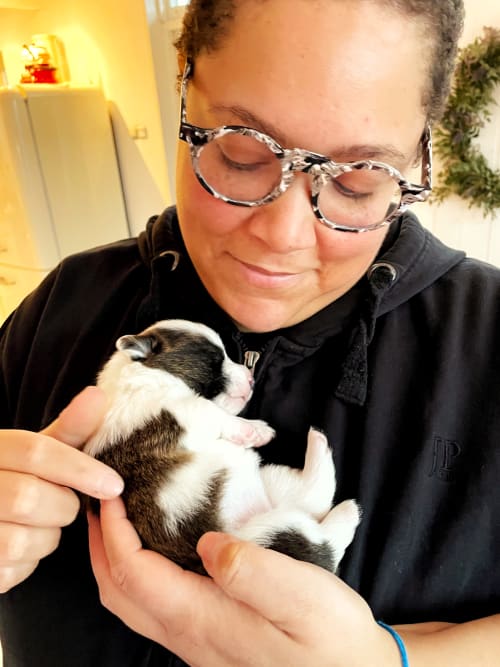I'm a person looking down lovingly at the two-week old sleeping corgi pup in my arms. I'm wearing a black vest and marbeled glasses and have a curly buzzcut. The puppy is white and dark brown. She rests in my hand on her back, her white paws sticking out.