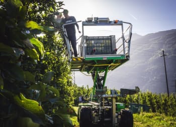 Compact Multiplex Base