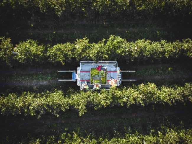 Compact Multi-01 plattform