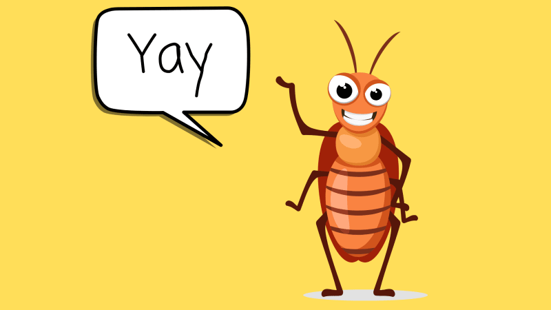 real bug in computers