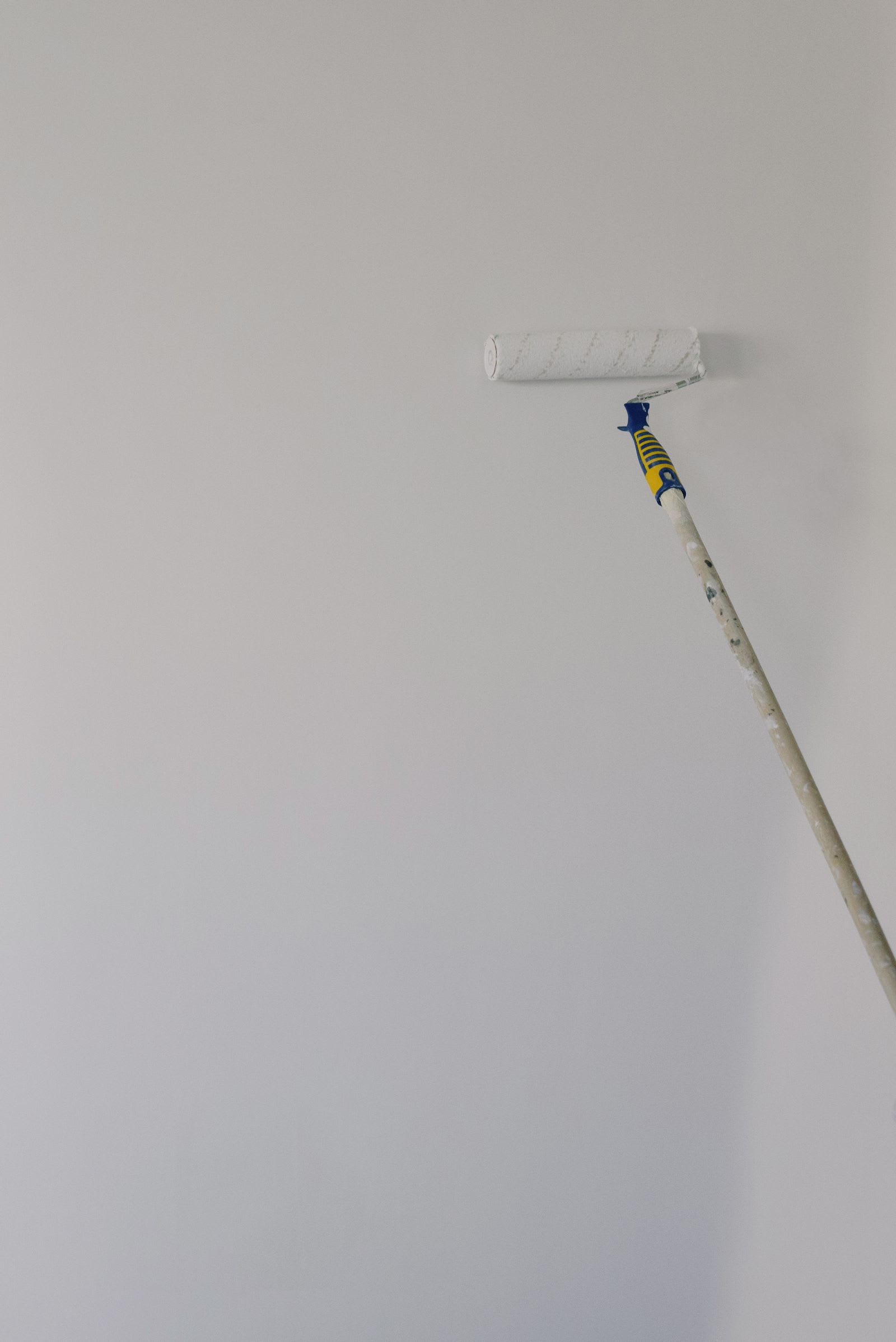 Malerwalze an einer frisch weiß gestrichenen Wand