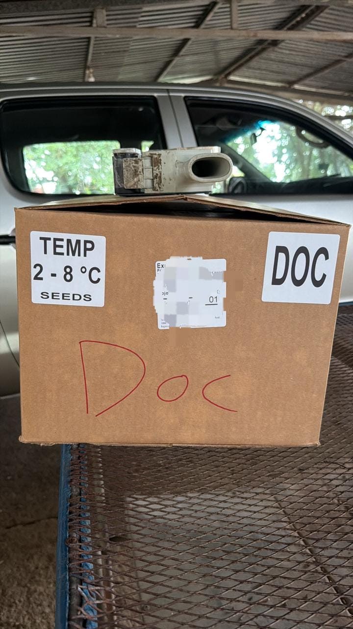 Docs