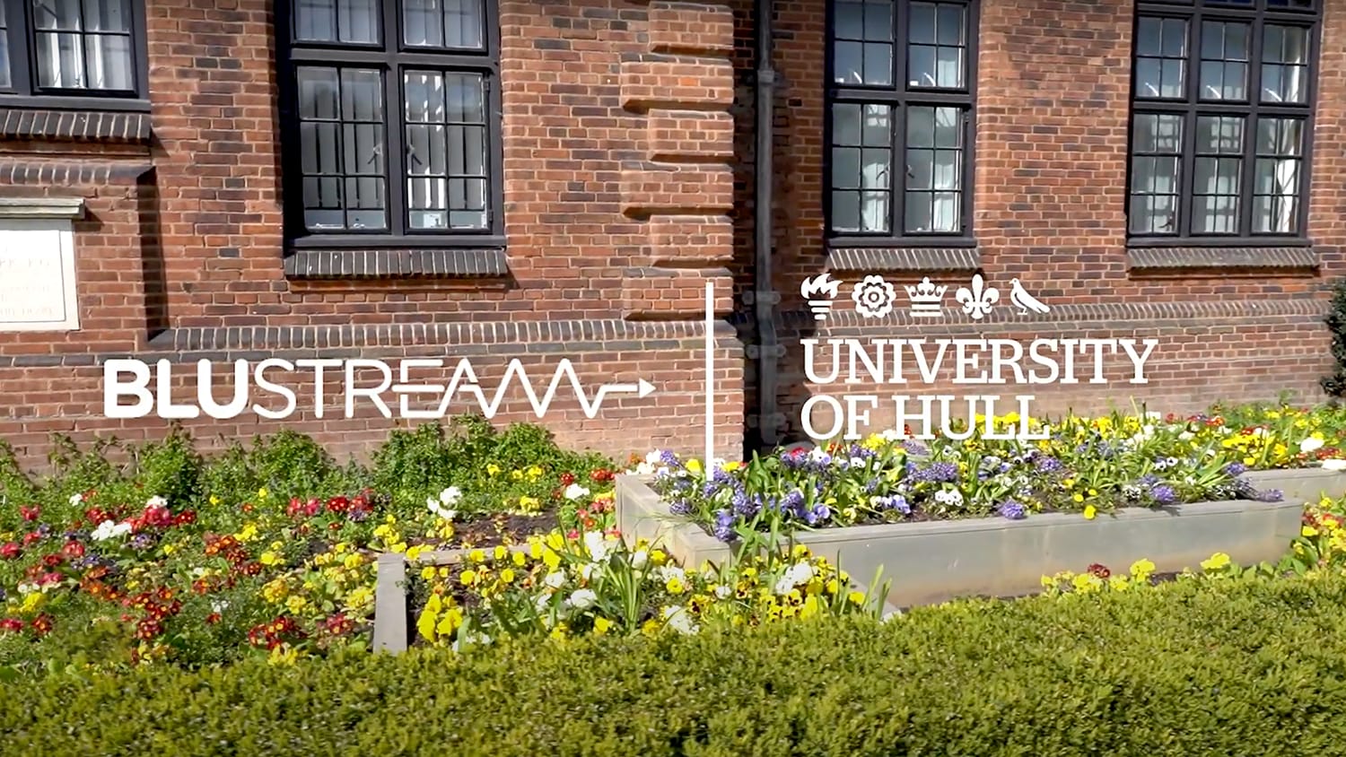 Blustream case study at the University of Hull, UK
