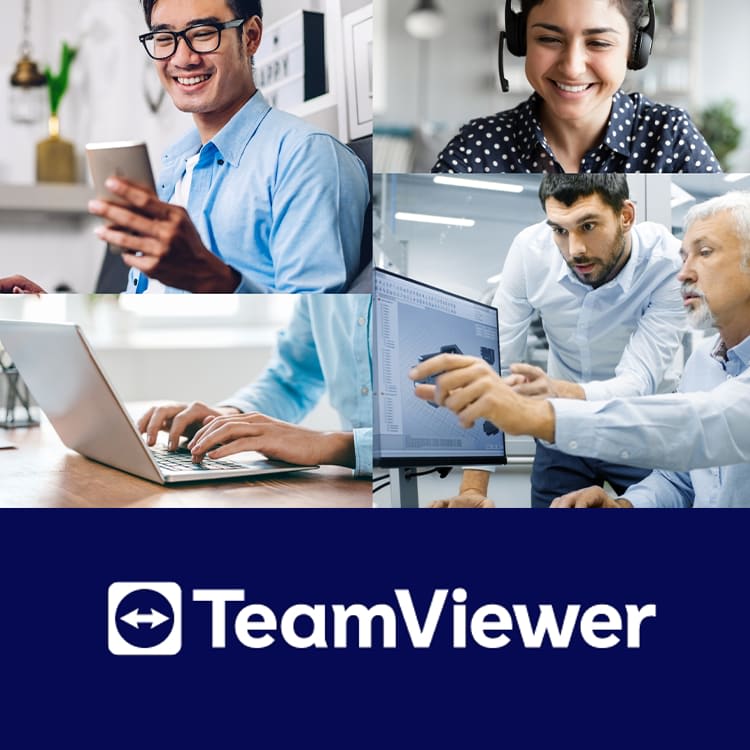 Picture for category TeamViewer