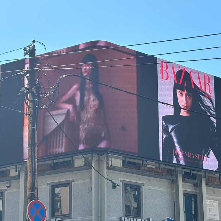 Case Study - Outdoor 3D Advertising Screen Project