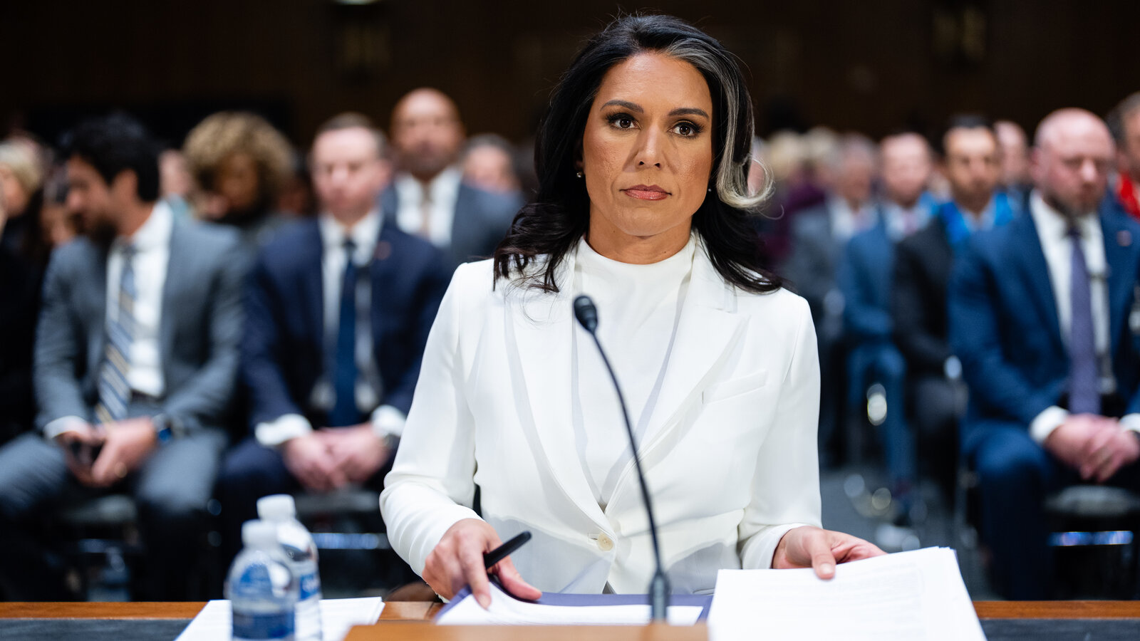 Tulsi Gabbard's Long Road: From Honolulu to Trump's DNI