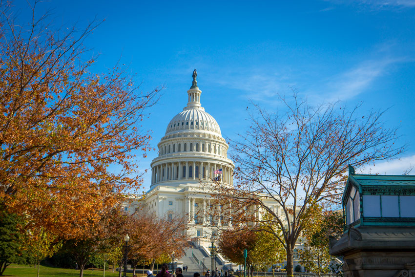 SCU Senior Lands Coveted 2025 Panetta Congressional Internship