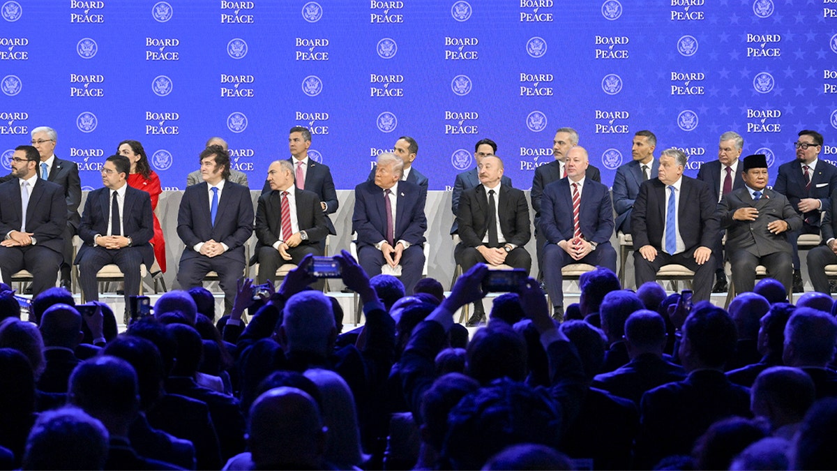Trump's Board of Peace Convenes First Summit February 19