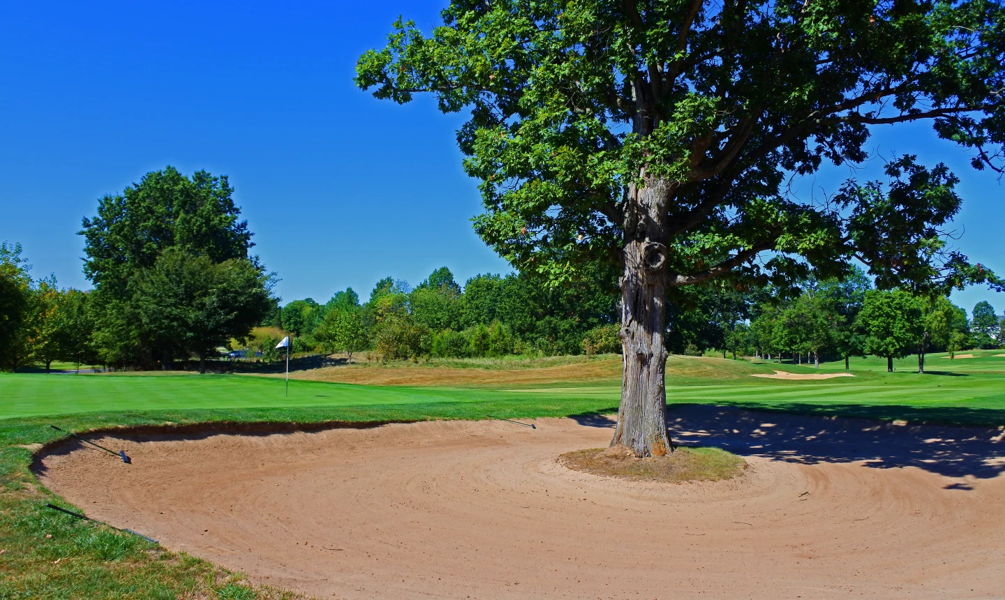 Public Greens, Private Polish: DC's Member-for-a-Day Golf