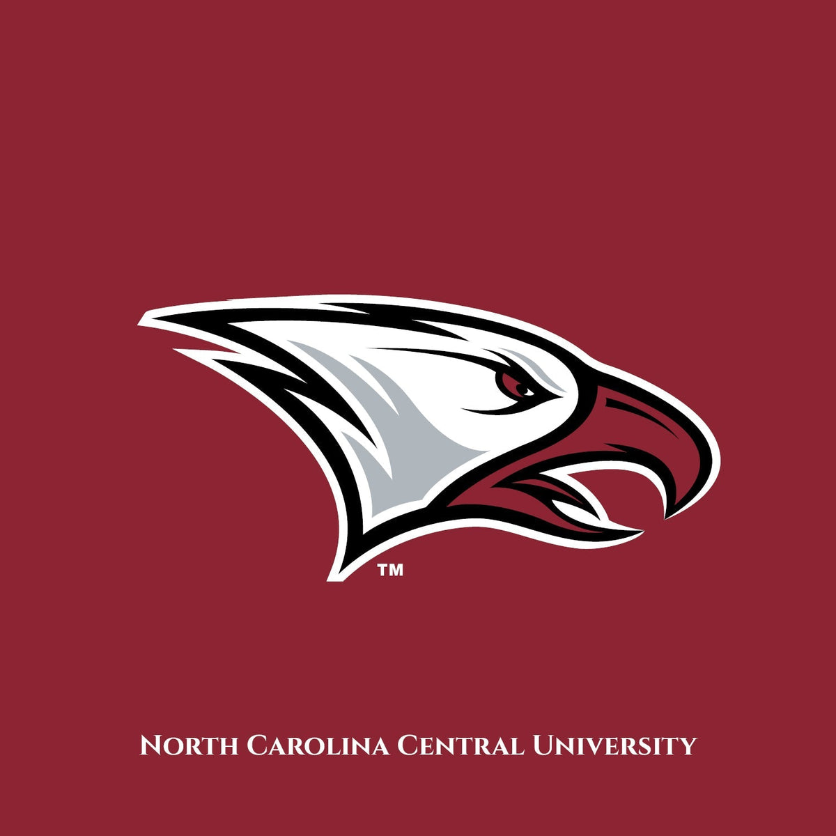 NCCU Budget Strain Exposes UNC System's HBCU Funding Gap
